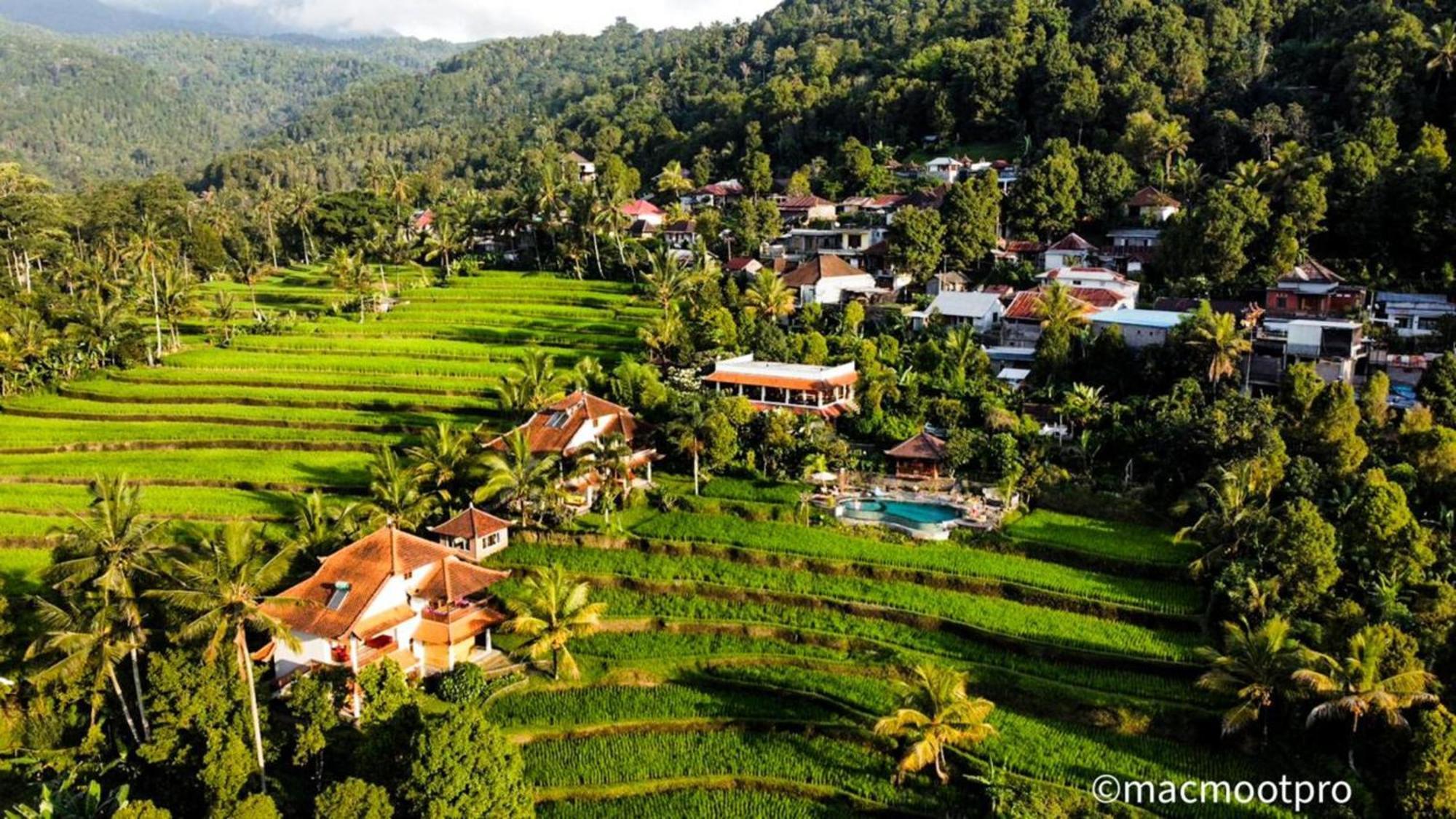 Lesong Hotel&Restaurant Munduk Exterior foto