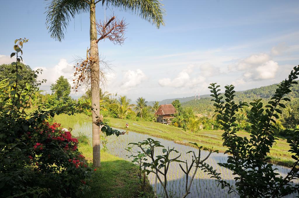 Lesong Hotel&Restaurant Munduk Exterior foto